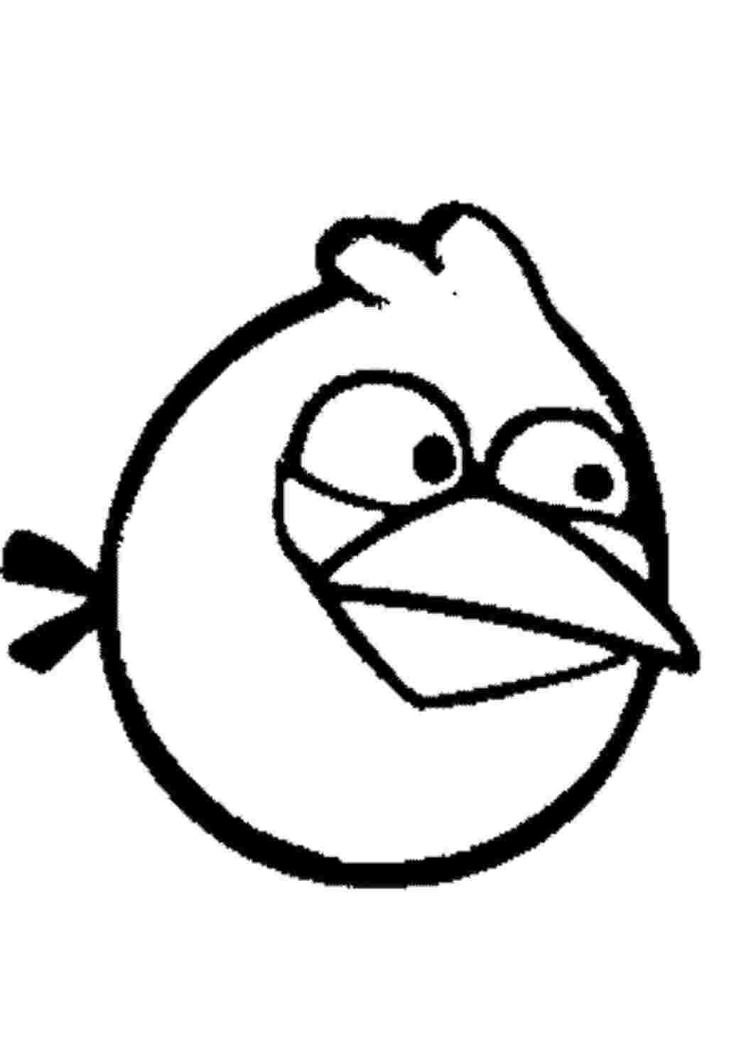 Раскраски Злая птица angry birds птица, клюв
