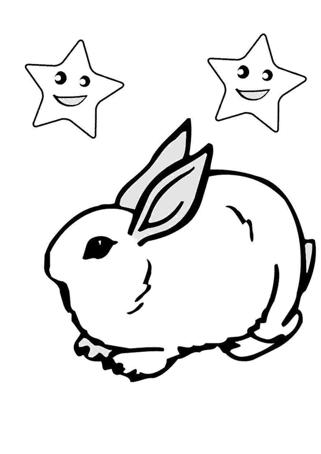 Раскраски Раскраска кролик со звездами Кролик Кролик