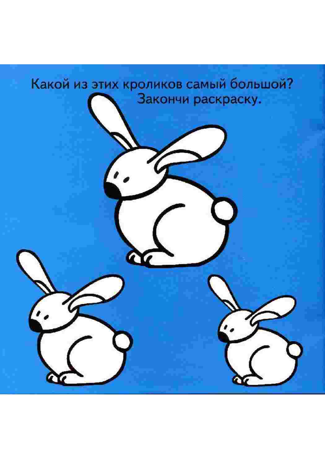 Раскраски Зайчики Животные заяц, кролик