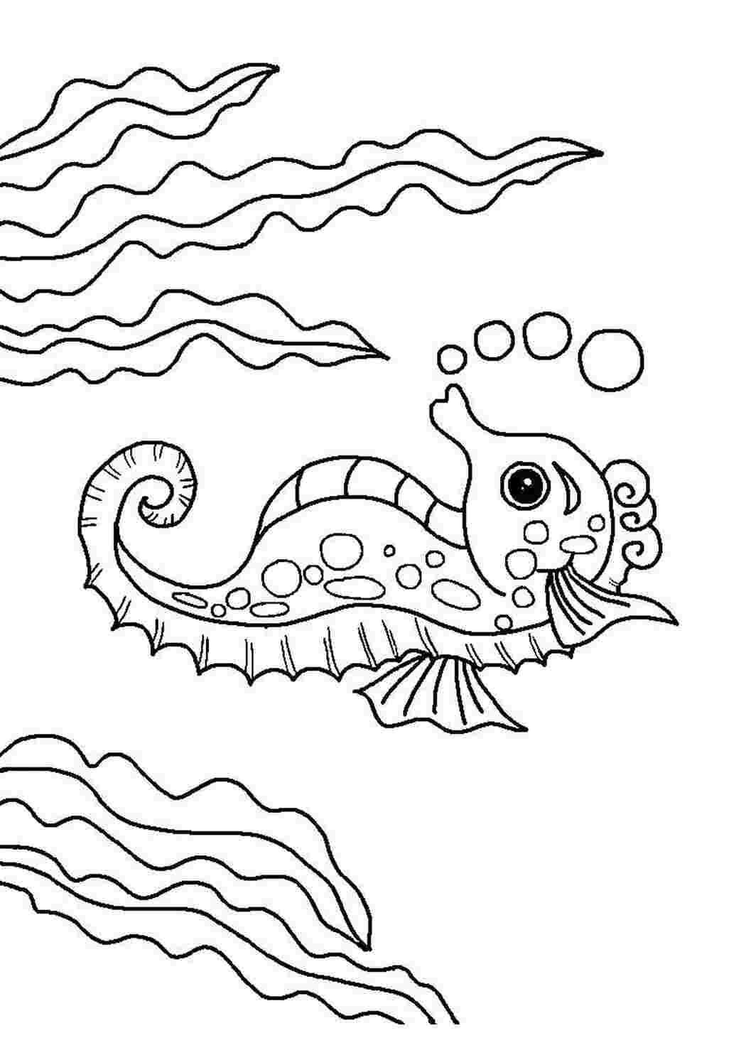 морское морские жители, вода, море, морской конек