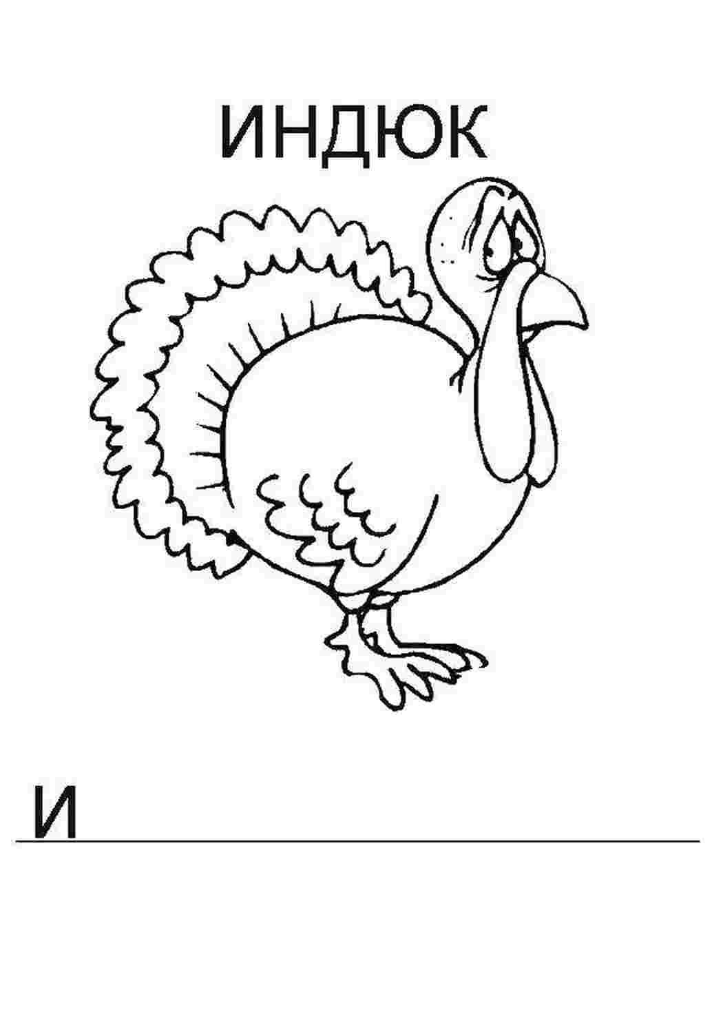 прописи буквы Алфавит, буквы, слова