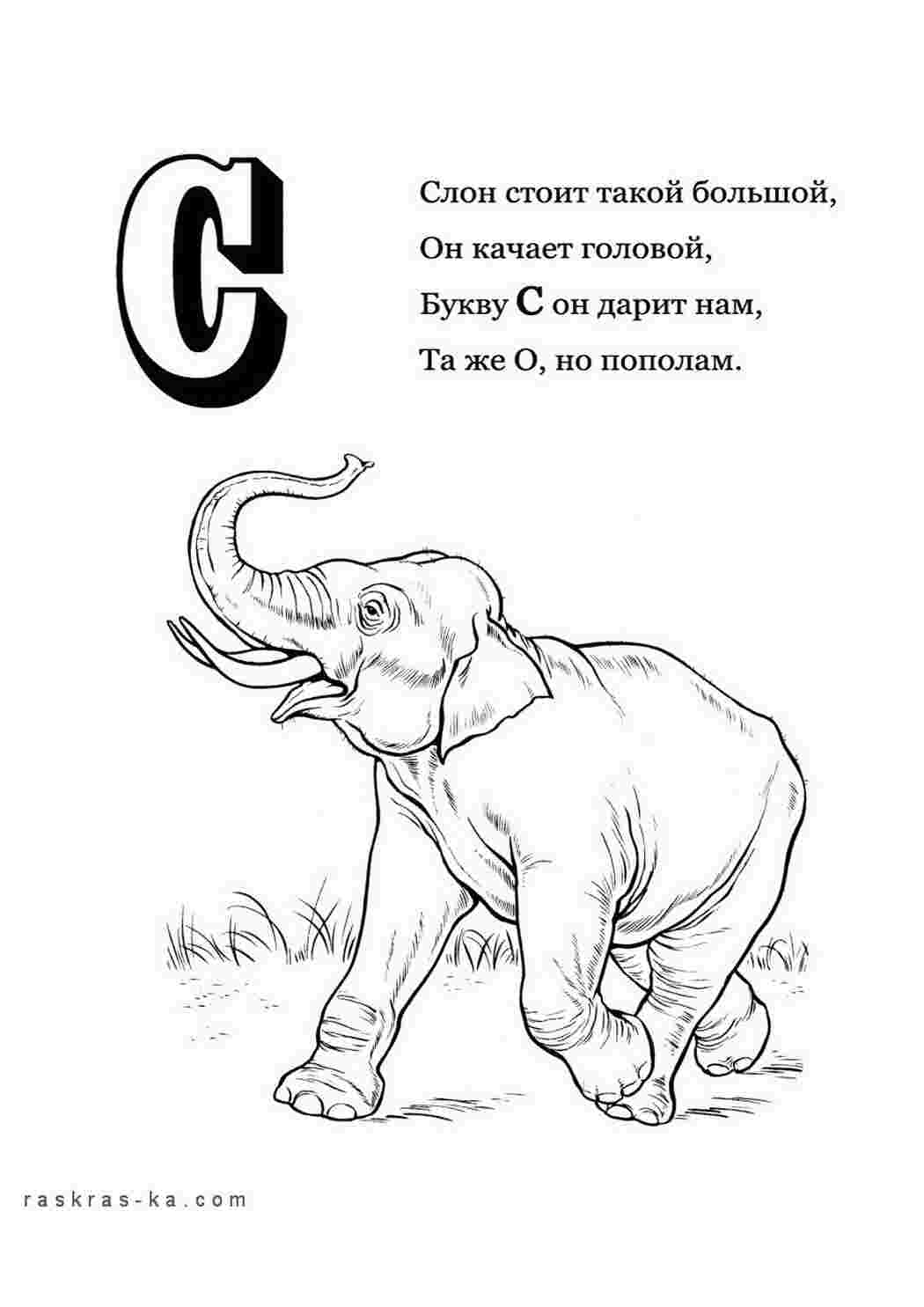 Раскраски Раскраска-алфавит, раскрась букву "С" и слона Раскраски Раскраски буквы алфавита 