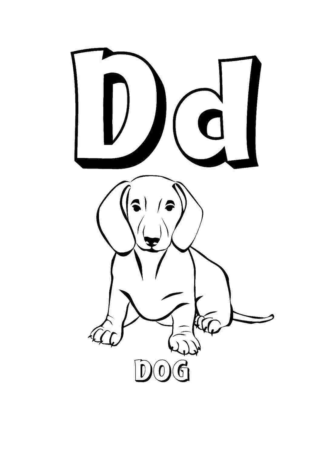 Раскраски Английский алфавит dog Английский Английский алфавит, собака