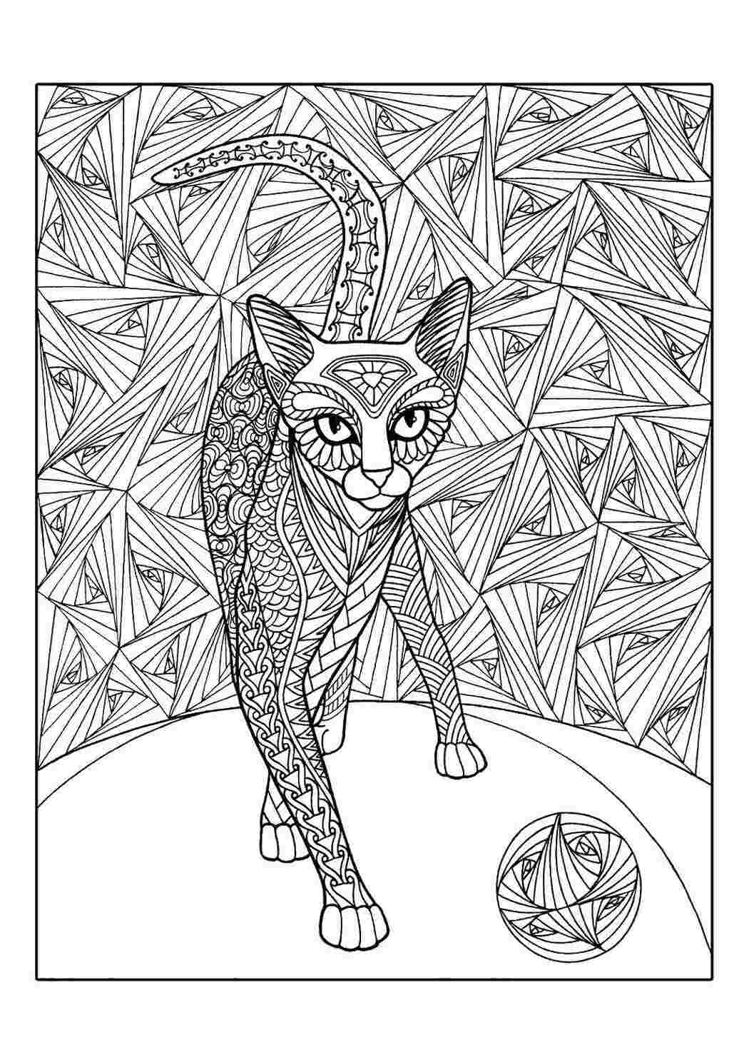 Кошка кошка, узоры