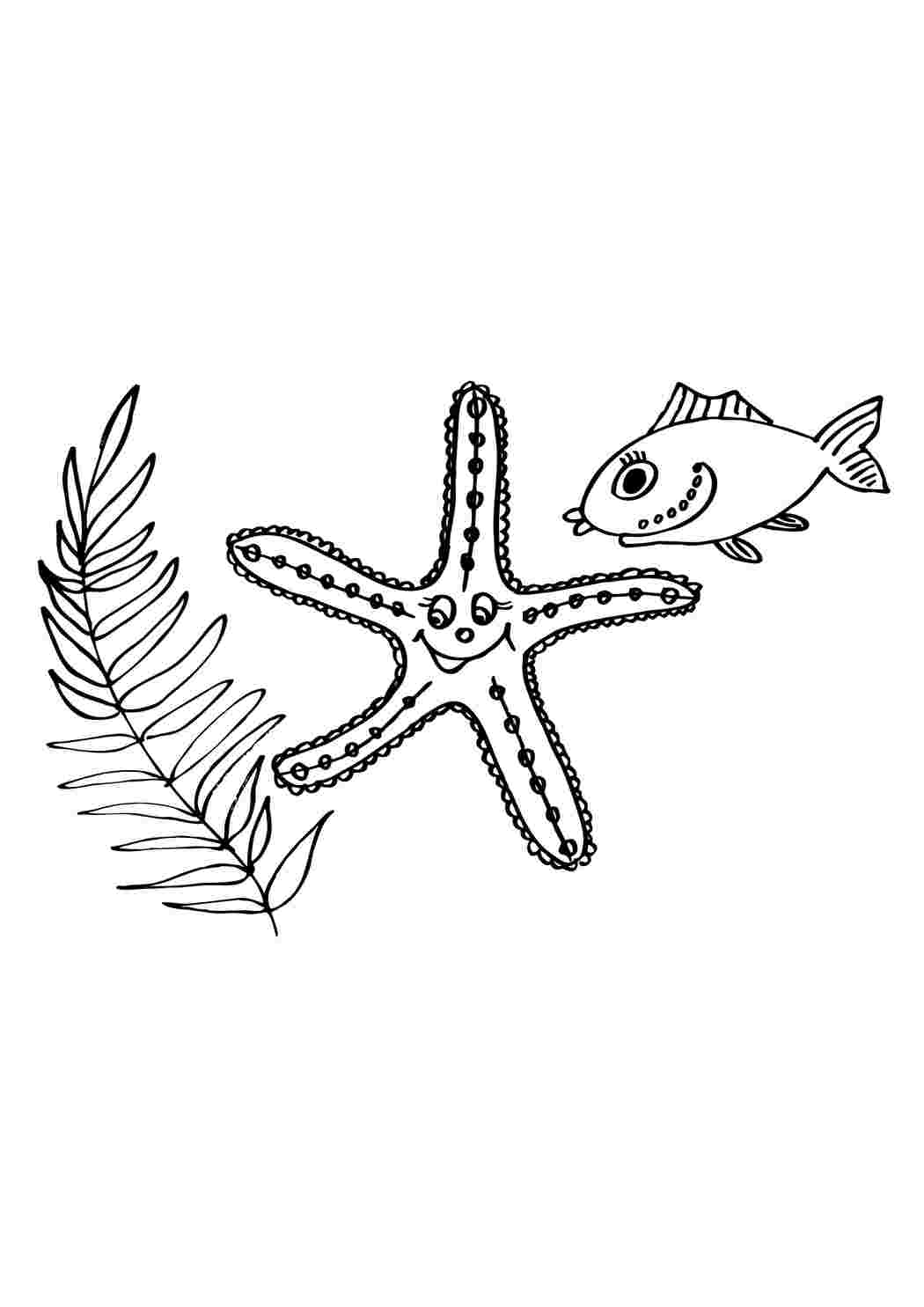  Водоросль, морская звезда и рыбка