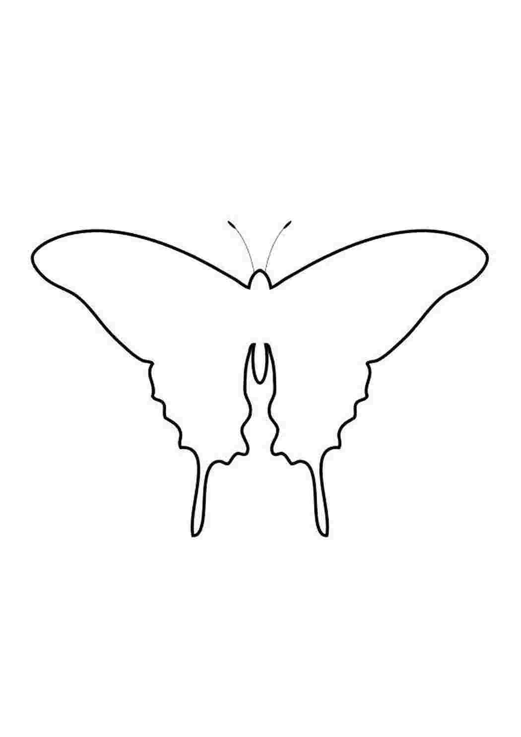 Раскраски Контур бабочки контуры для вырезания бабочек Контур, бабочка