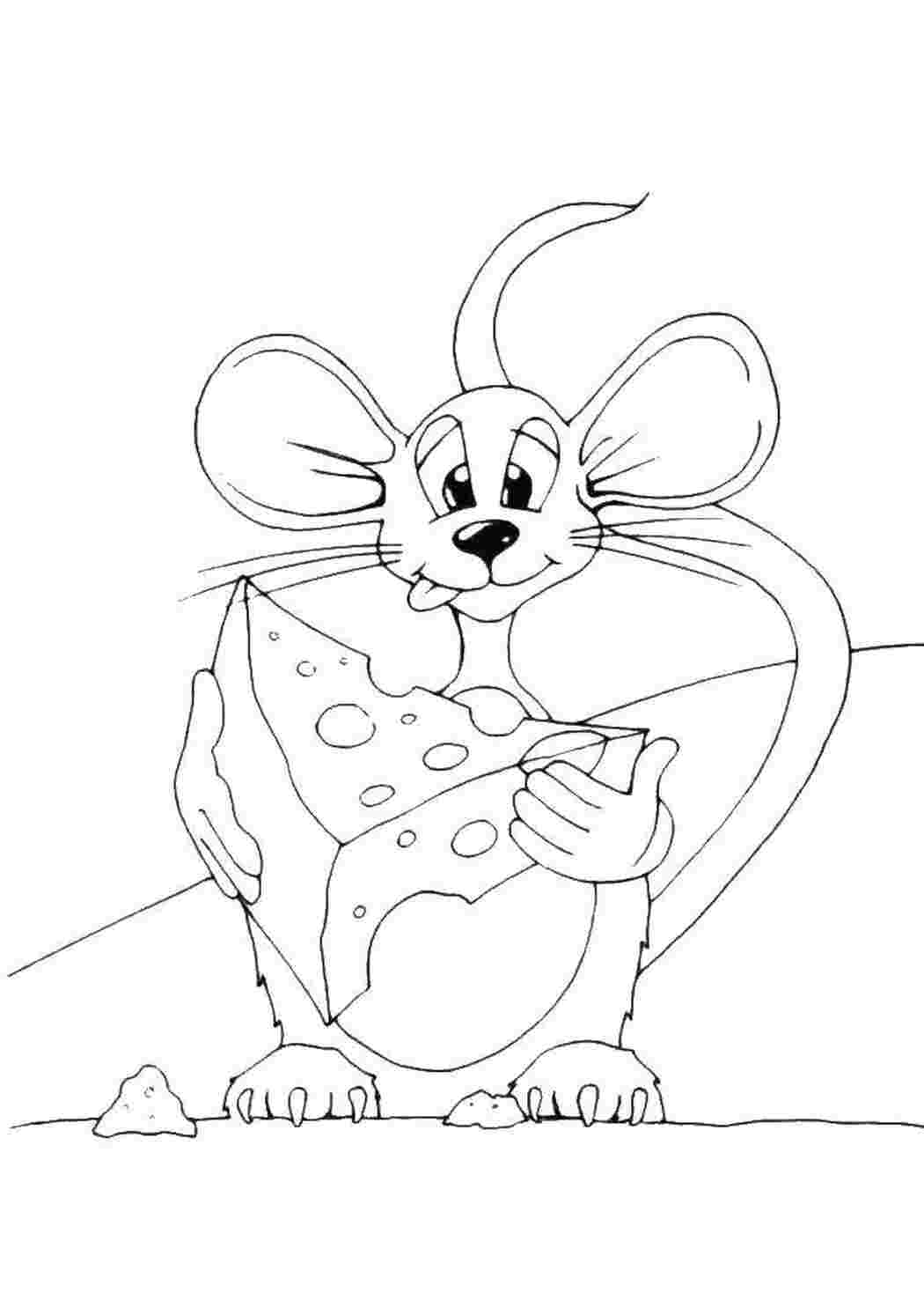 Раскраски Мышка с сыром Животные мыш, сыр