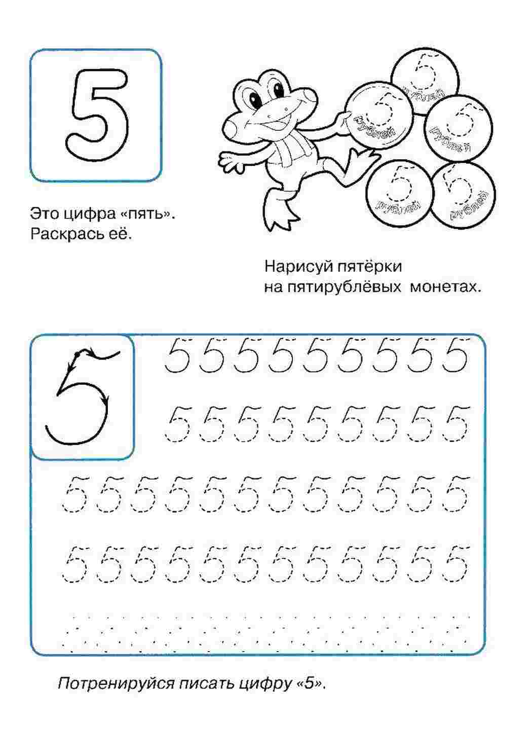 Раскраски Раскраски цифры пропись математика  Пропись цифры 5