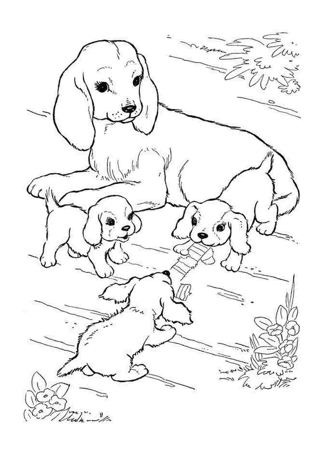 Раскраски Мама собака смотрит за щенятами домашние животные собака, щенок