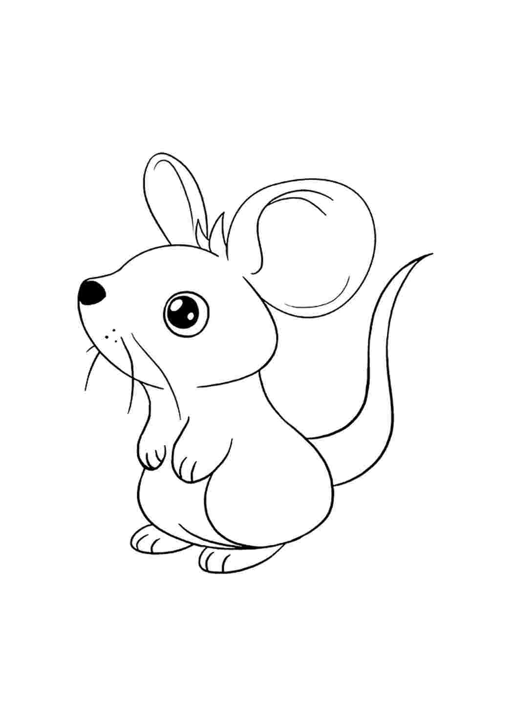 Идеи на тему «Мышь» (90) | мышь, рисунки, раскраски