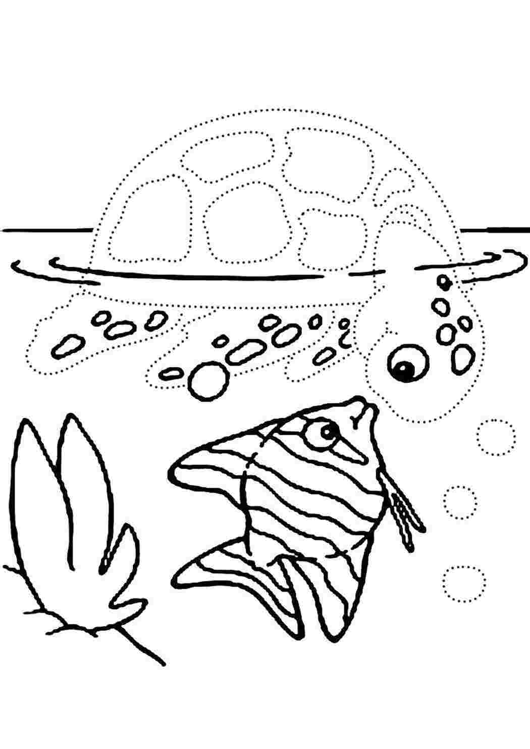 Раскраски Обвести по точкам рисунки с морскими обитателями и раскрасить их по точкам по точкам