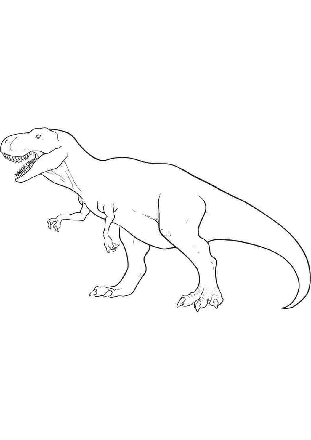 Раскраски Тираннозавр рекс динозавр Динозавр