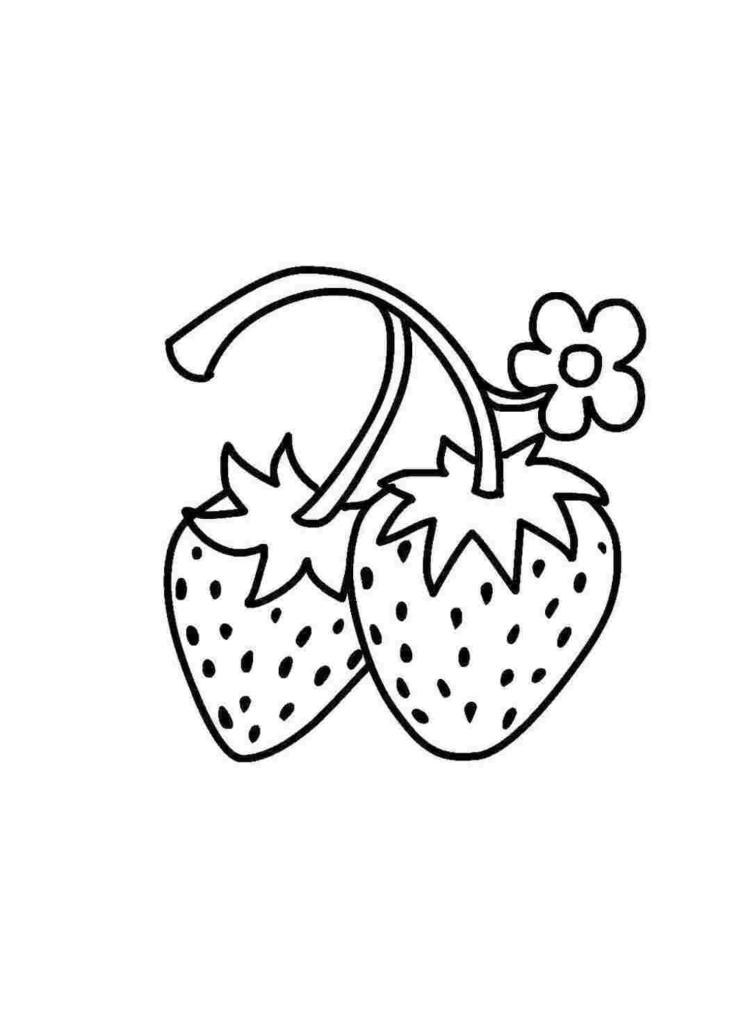 Раскраски Раскраски ягоды малина вишня арбуз вишня крыжовник  Клубнички