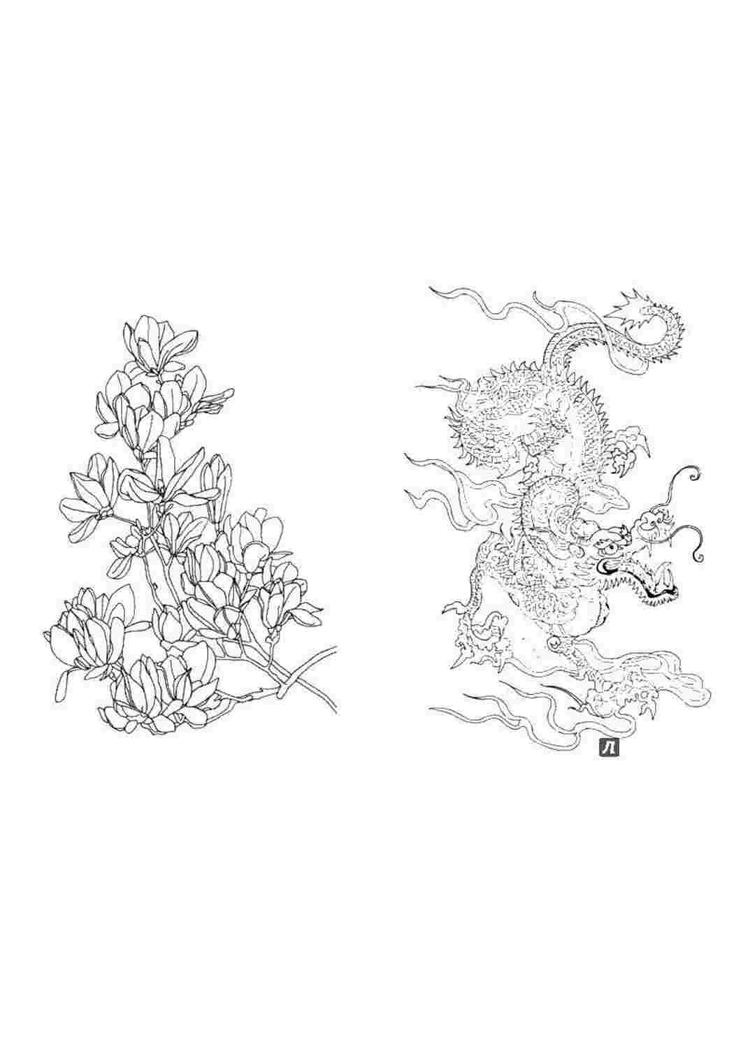 Раскраски Цветы и дракон раскраски антистресс дракон, цветы