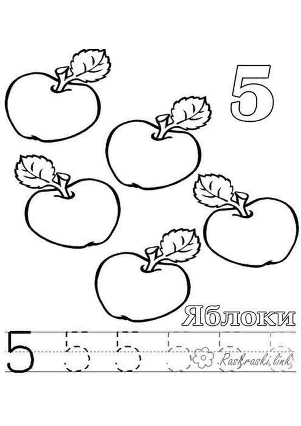 Раскраски пять цифры 5 Раскраски Прописи цифры 