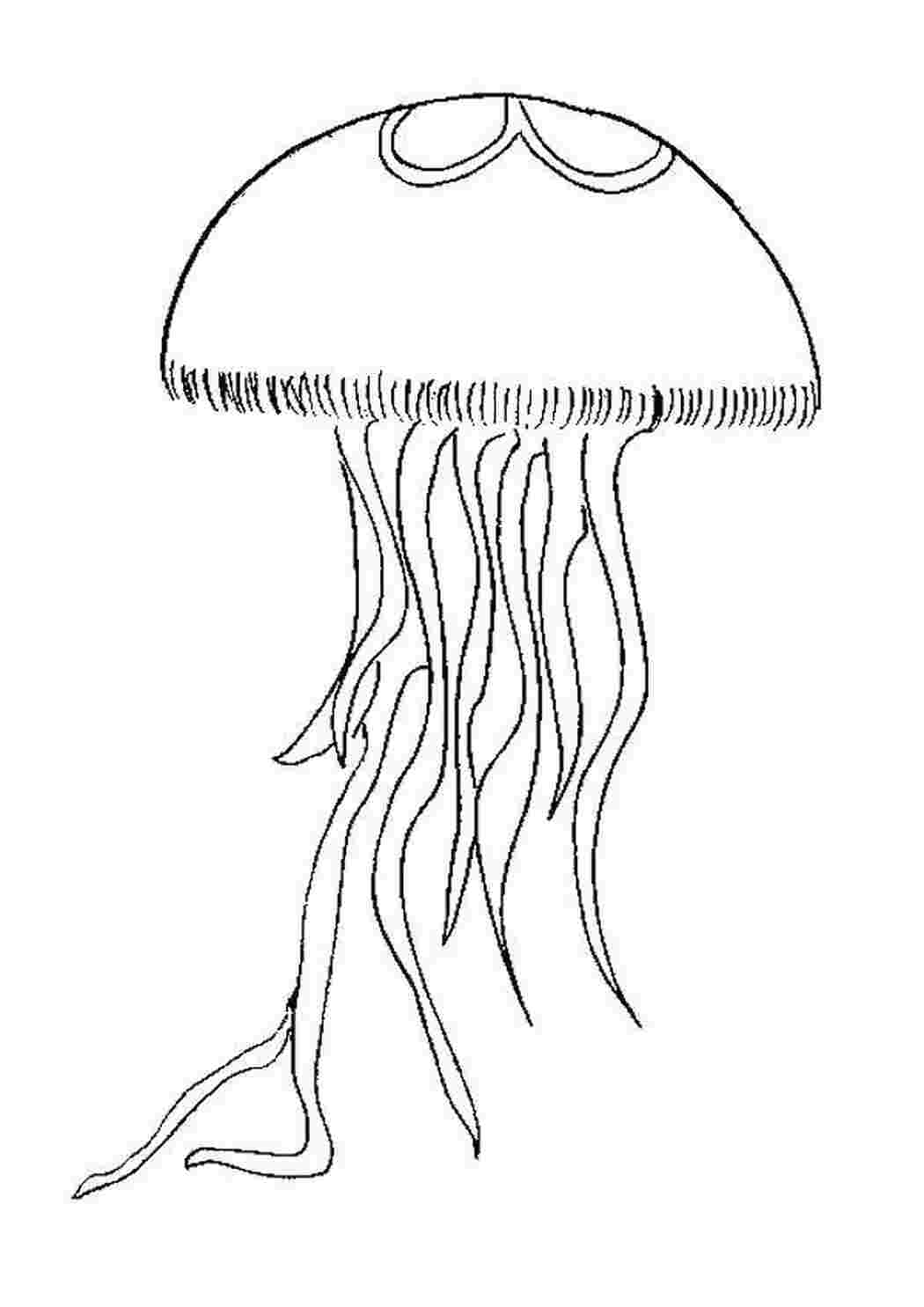 Раскраски Медуза с множеством щупалец Морские обитатели Подводный мир, медуза