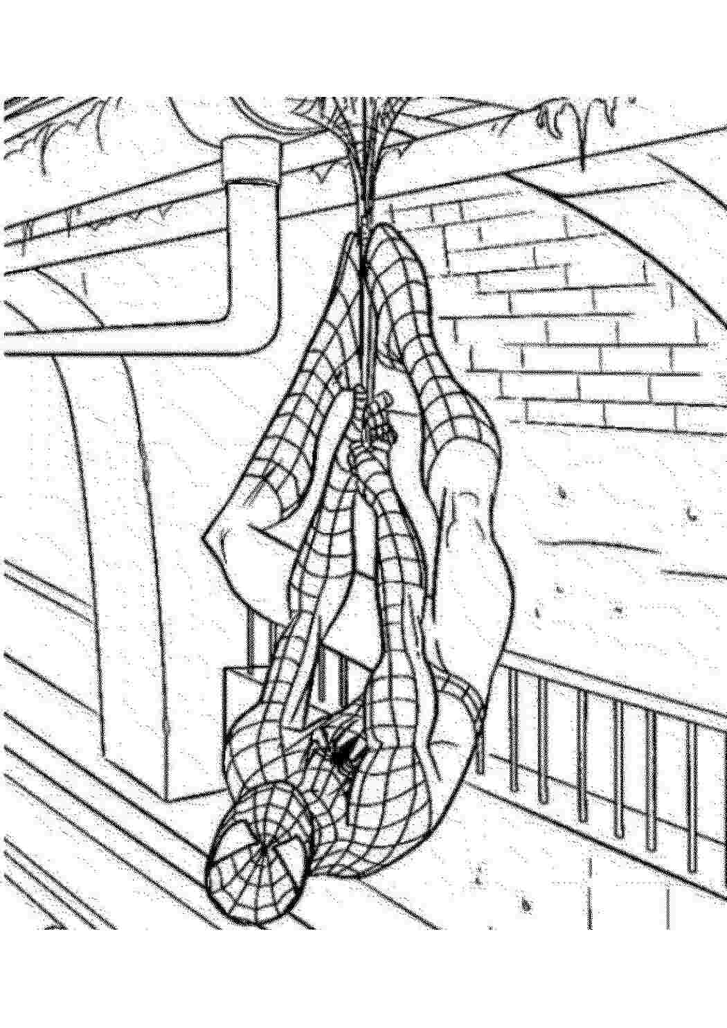 Раскраски Человек паук на паутине Комиксы Комиксы, Спайдермэн, Человек Паук