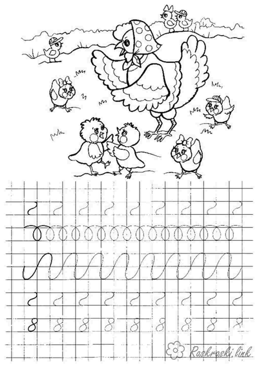 Раскраски пропись, раскраска, курица, цеплята Раскраски Прописи цифры 