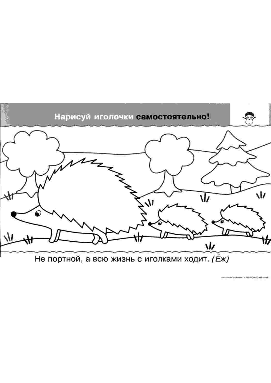 Раскраски, Раскраска Ежик. Раскраска Еж, еженок, загадки для детей, детские  прописи для дошкольников, школьные прописи с раскрасками, Дикие животные  Ежик, Игры кита, Рисунок-раскраска рыбёшки, Морда лягушки, картинки на  рабочий стол онлайн, обезьяна