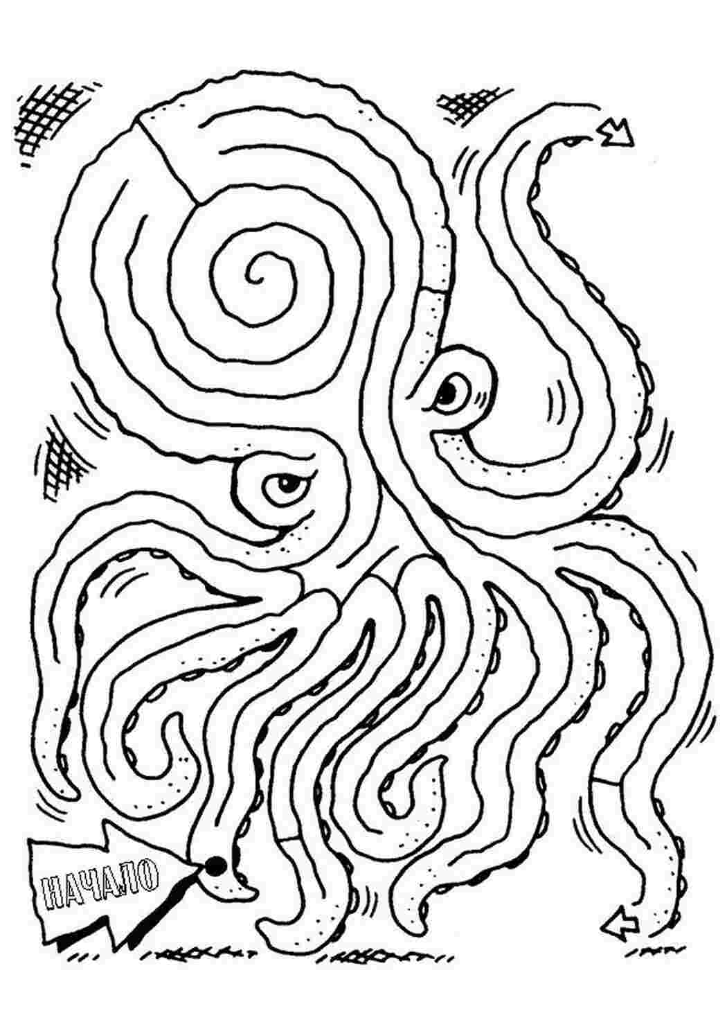 Раскраски   Раскраски лабиринт восьминог