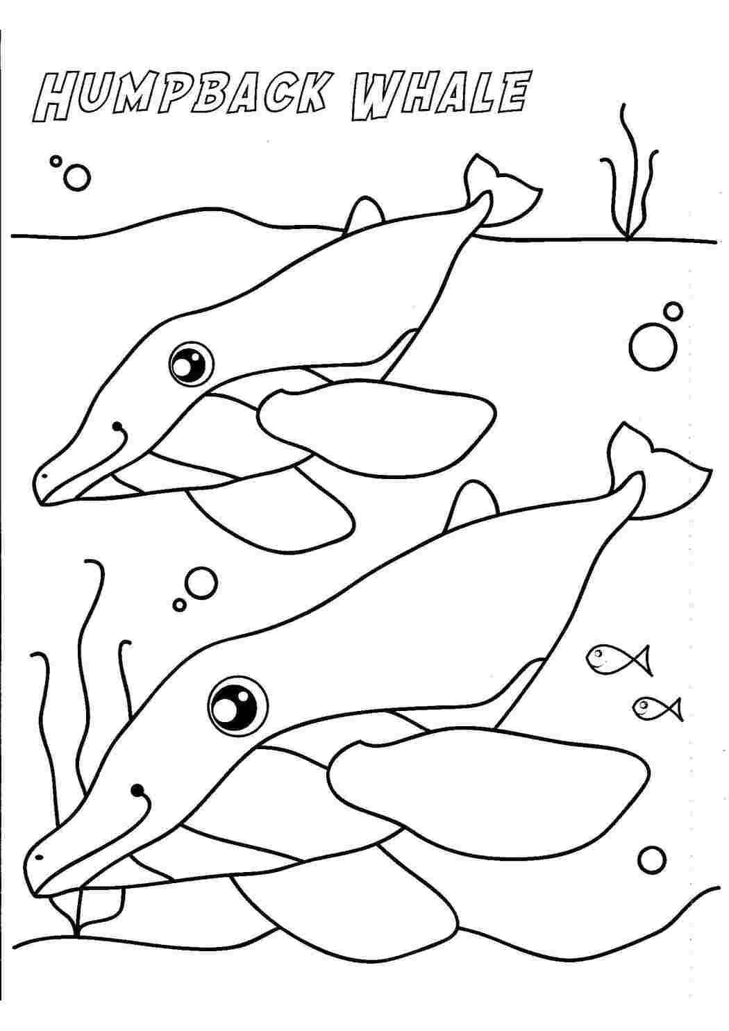 Раскраски Большие киты морское Подводный мир, рыба