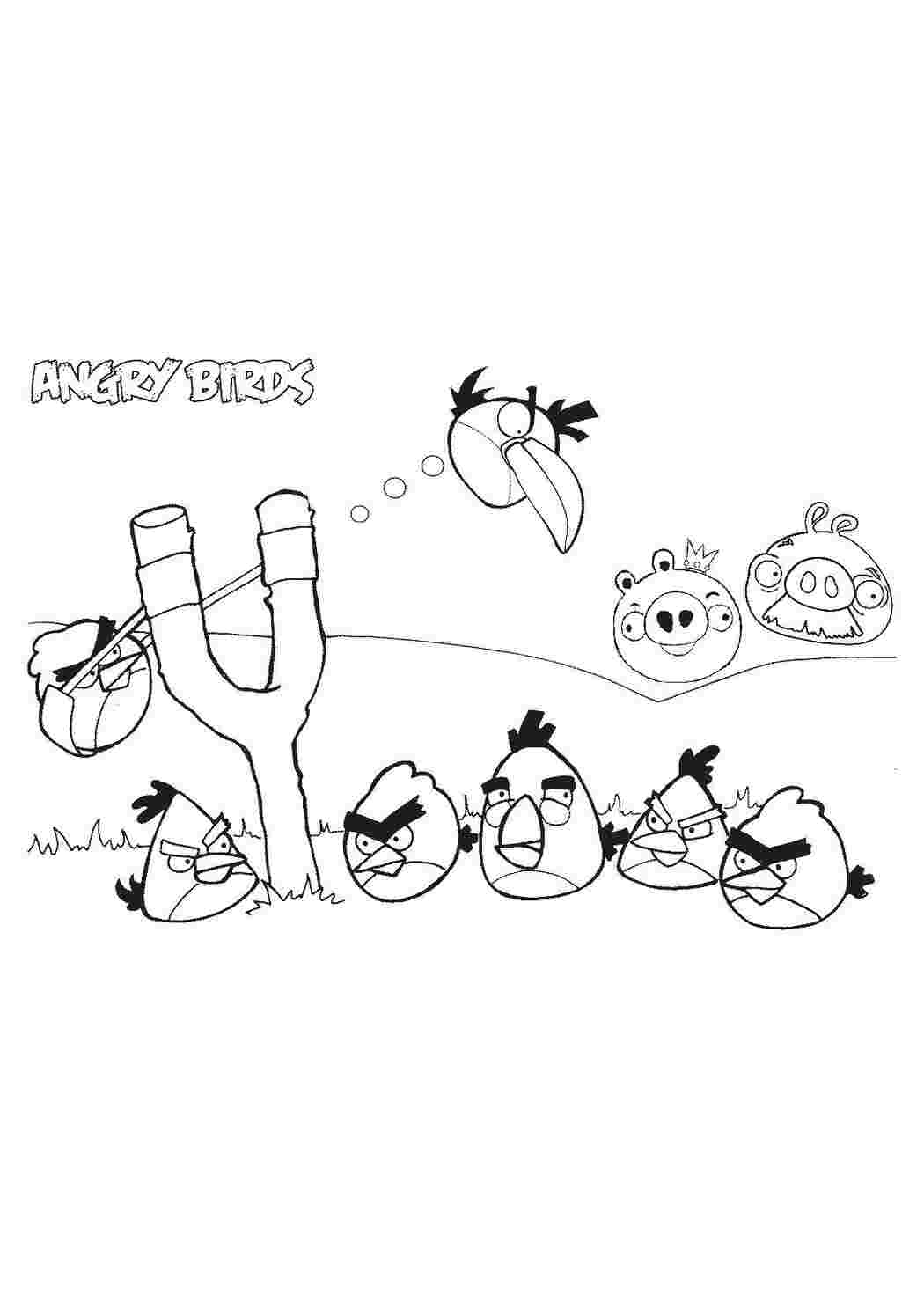 Раскраски картинки на рабочий стол онлайн Angry birds злые птички, птички атакуют, стрельба птичками, поросята Раскраски для детей мальчиков