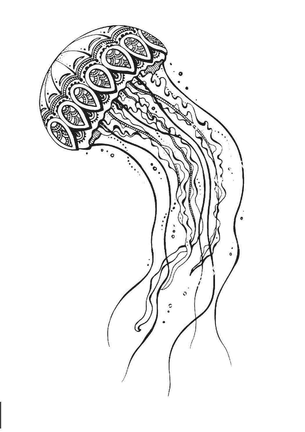 Раскраски Красивая узорная медуза Морские обитатели Подводный мир, медуза