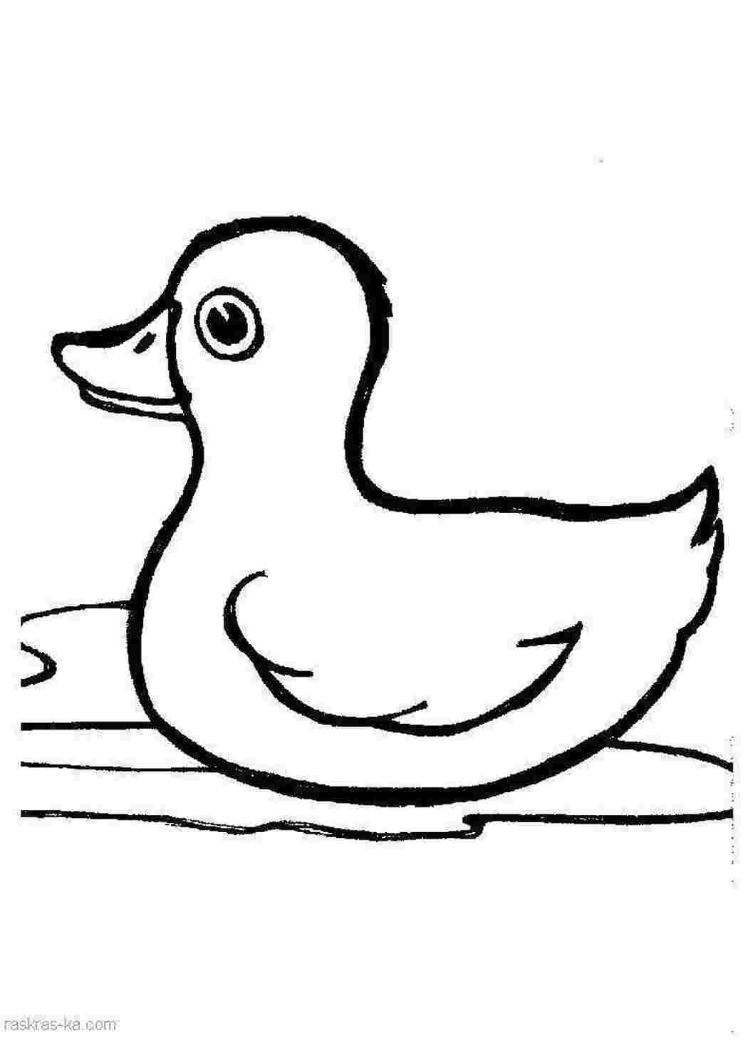 Раскраски Рисунок  утка домашние животные утка