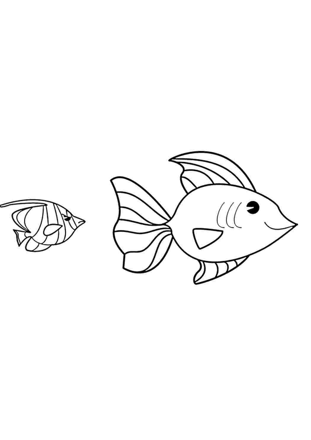 Аквариумные рыбки. Раскраска для детей 6-7лет