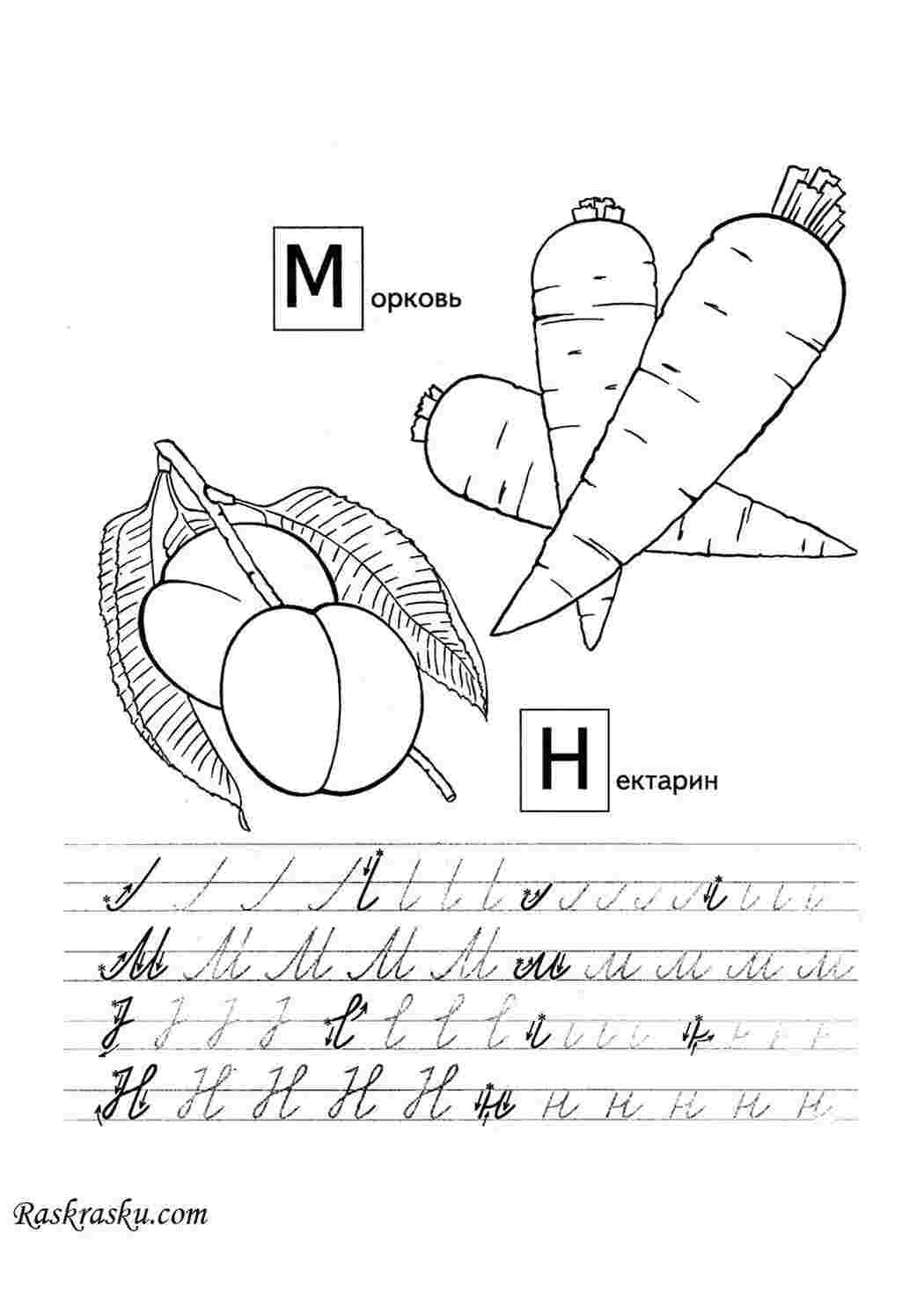 Раскраски Пропись М и Н для детей пропись пропись