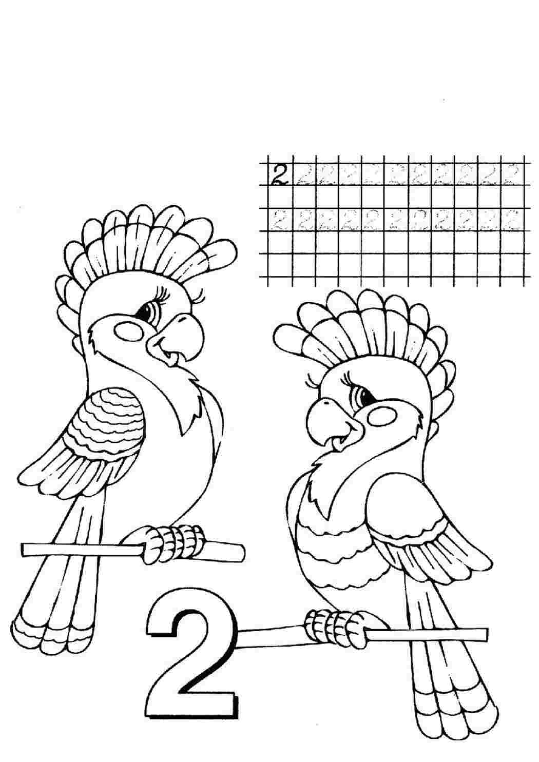 Раскраски Раскраска для детей  два попугая с цифрами с цифрами