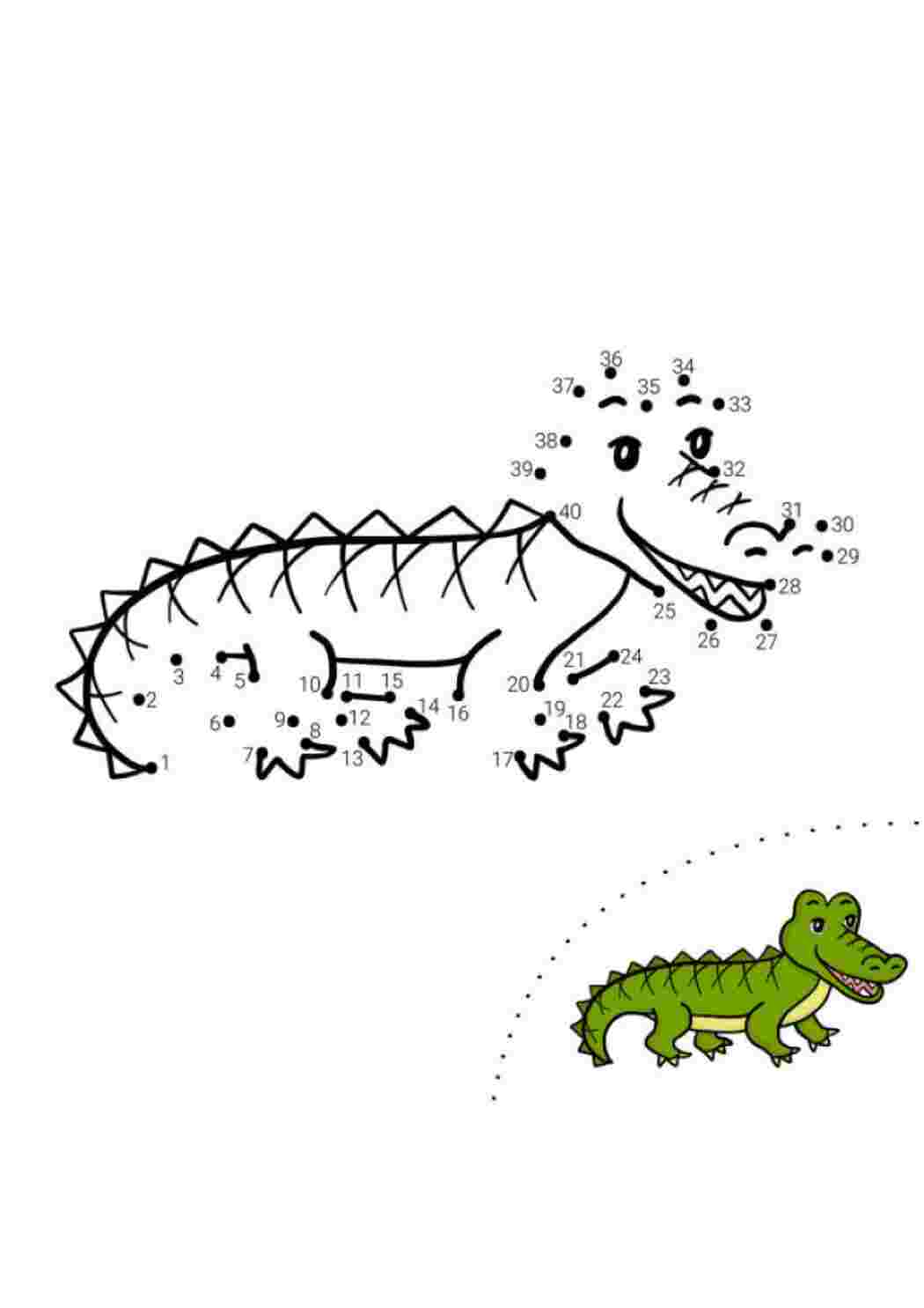 Крокодил - раскраска по точкам для детей Раскраски скачать и распечатать бесплатно.