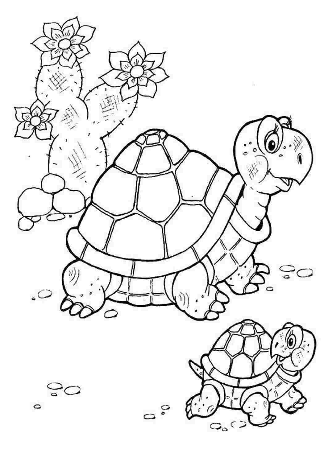 Раскраски Черепаха с черепашонком раскраски Черепаха, черепашонок