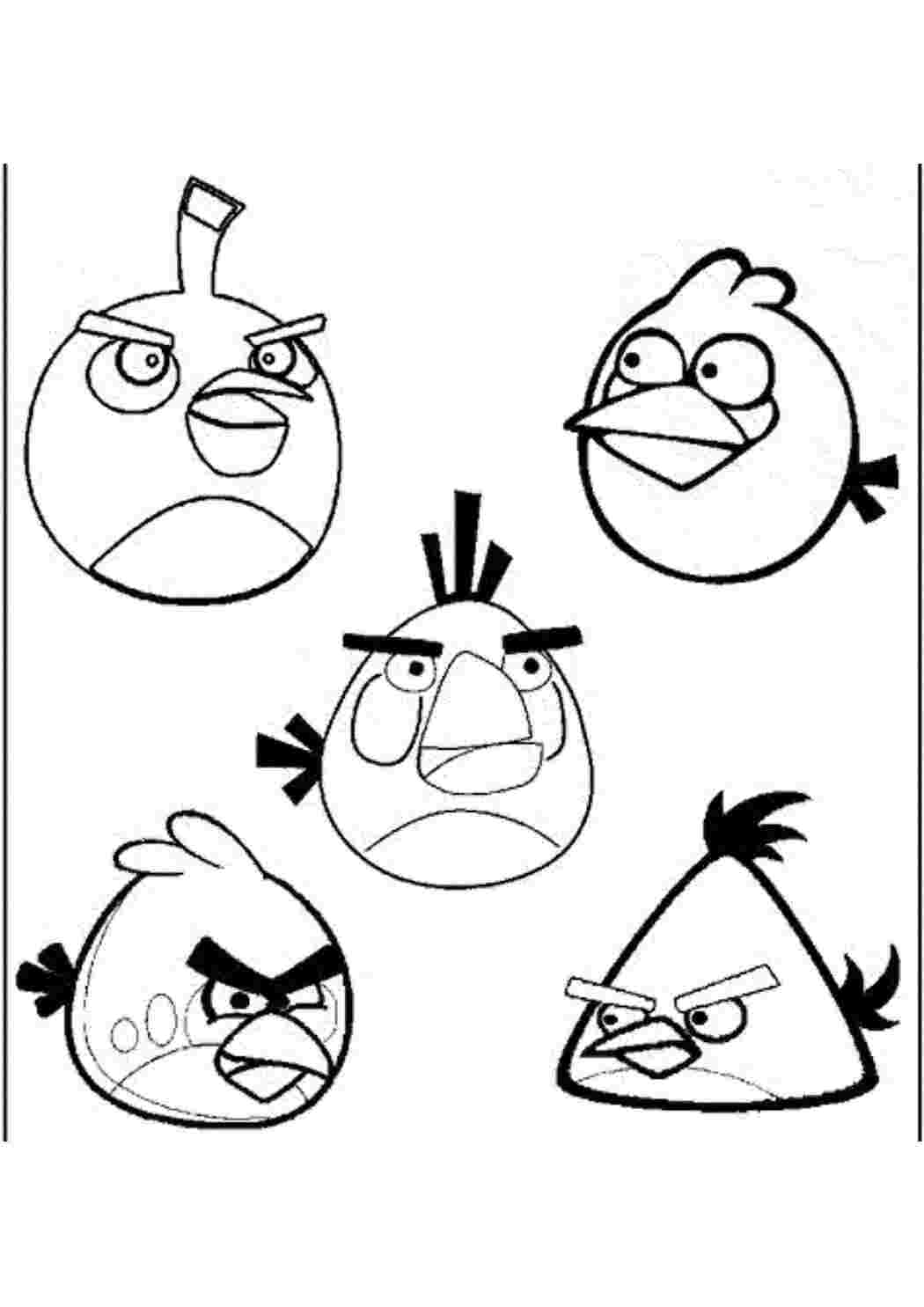 angry birds angry birds