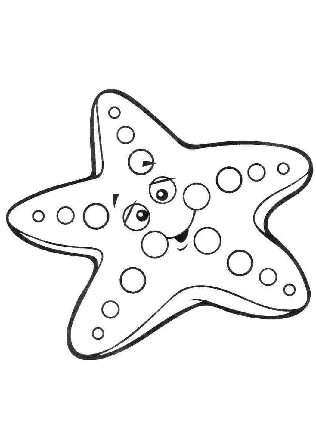 морское Подводный мир, морская звезда