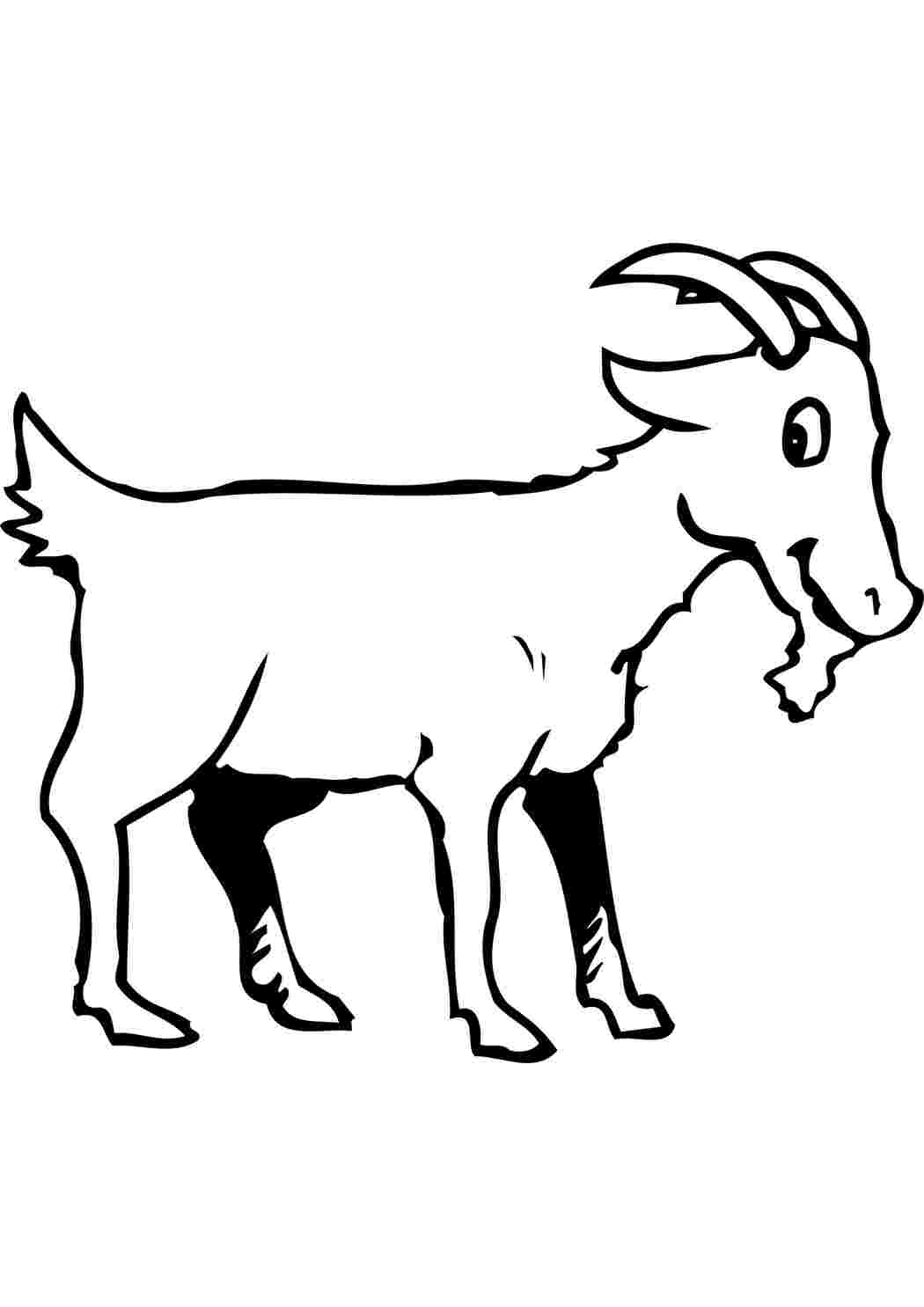 Раскраска коза с козлятами