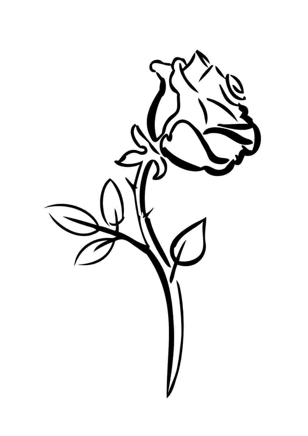 Раскраски Цветок розы красивая роза для мальчиков и девочек. Раскраски с цветами