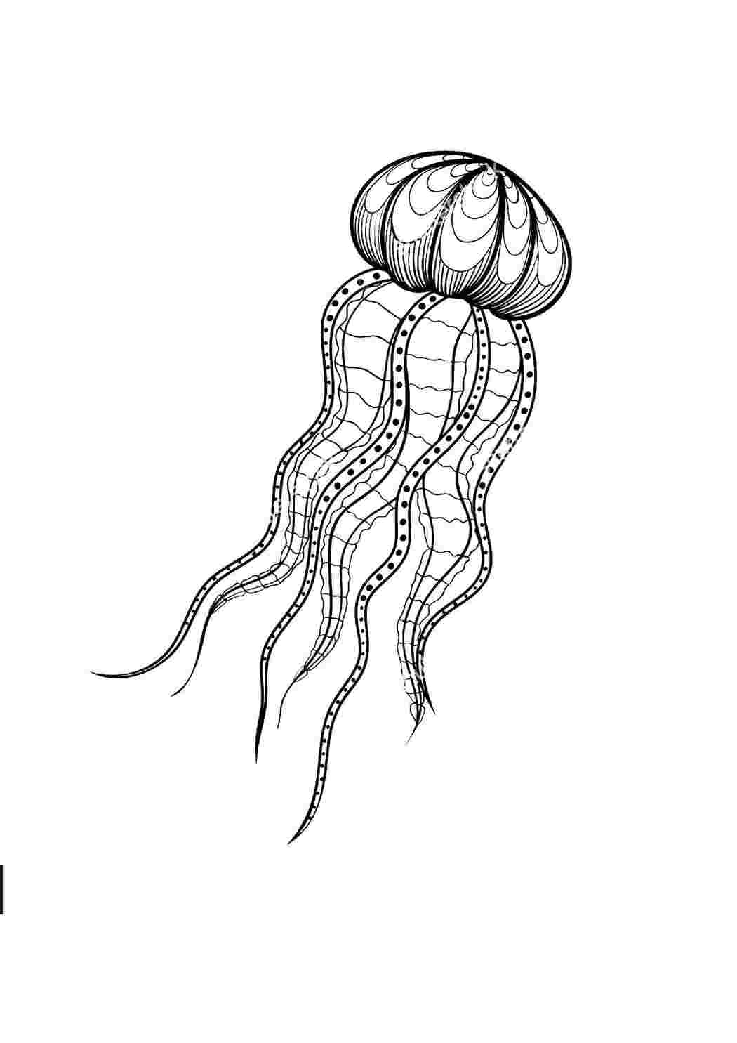 Раскраски Узорная медуза Морские обитатели Подводный мир, медуза