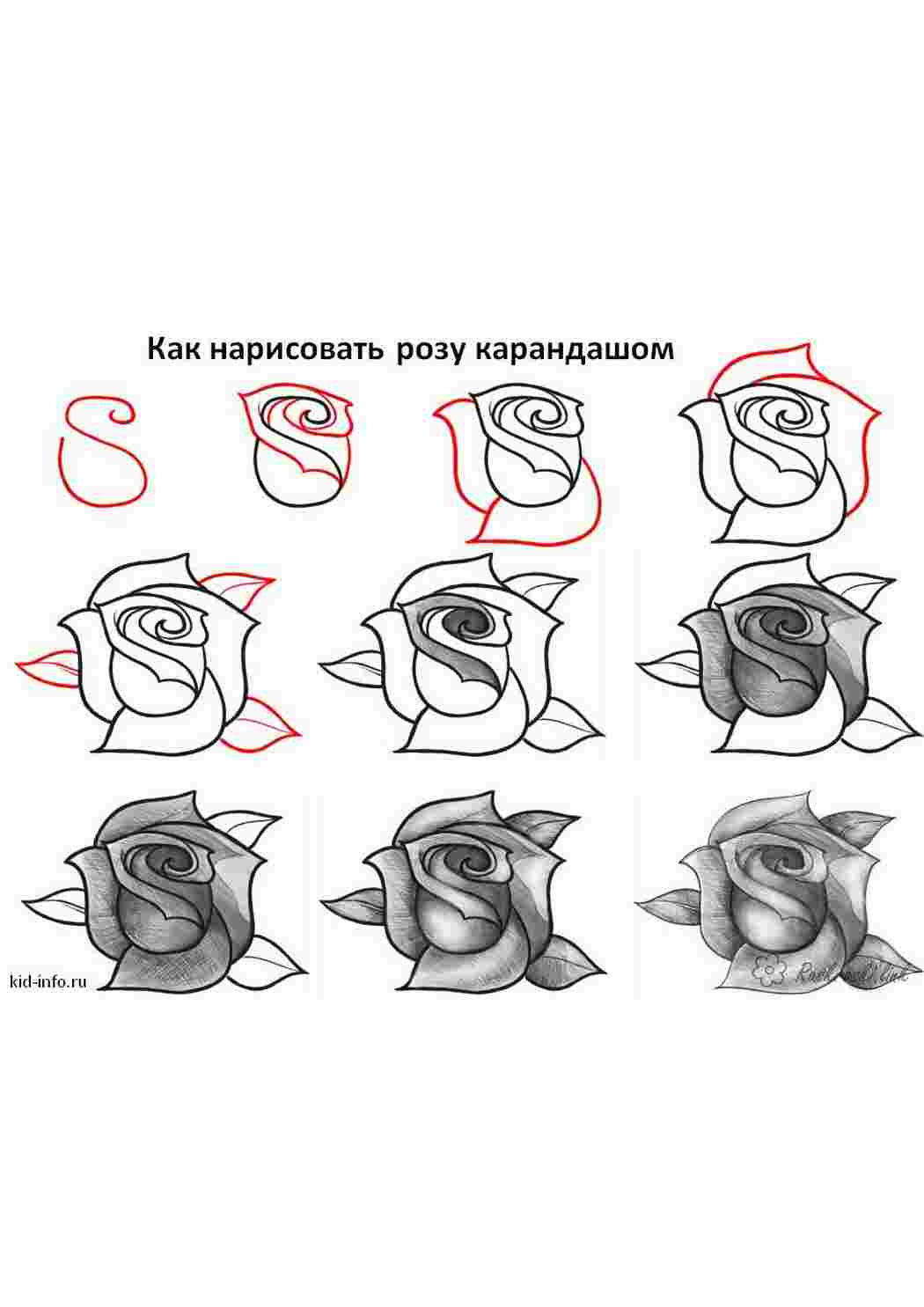 Раскраски Как нарисовать 