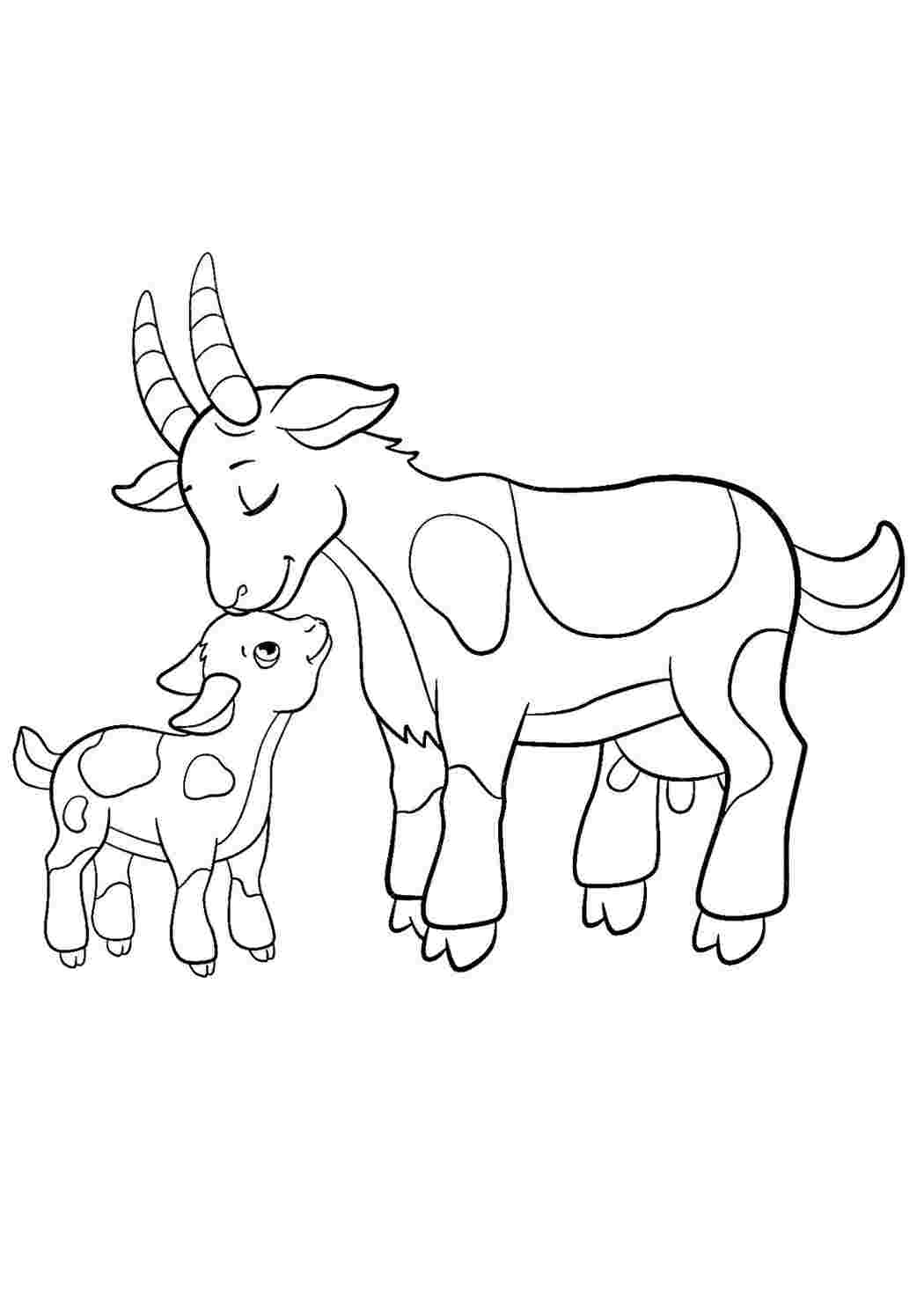Раскраска Коза и козленок, скачать и распечатать раскраску раздела Животные и их детеныши