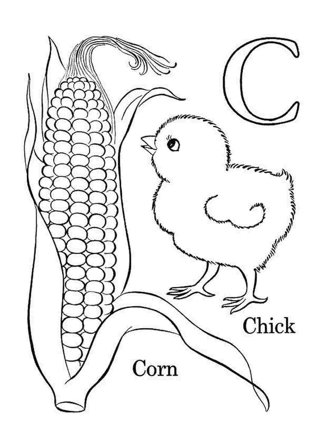 Раскраски Цыпленок с кукурузой Кукуруза Овощи