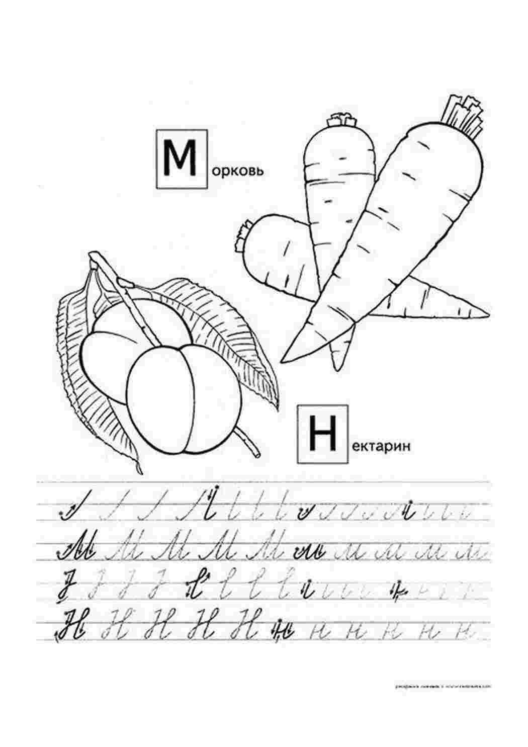 Раскраски Пропись, учимся писать, буква м, буква н Раскраски Прописи буквы 