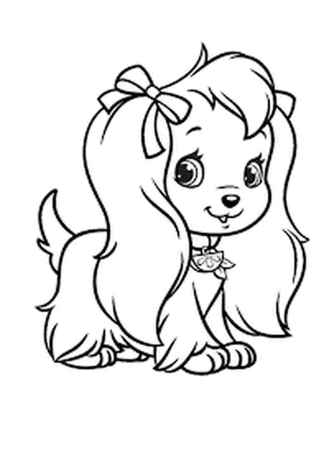 Раскраски Раскраски щенки для девочек красивые щенки в хорошем качестве, скачать и распечатать в формате а 4