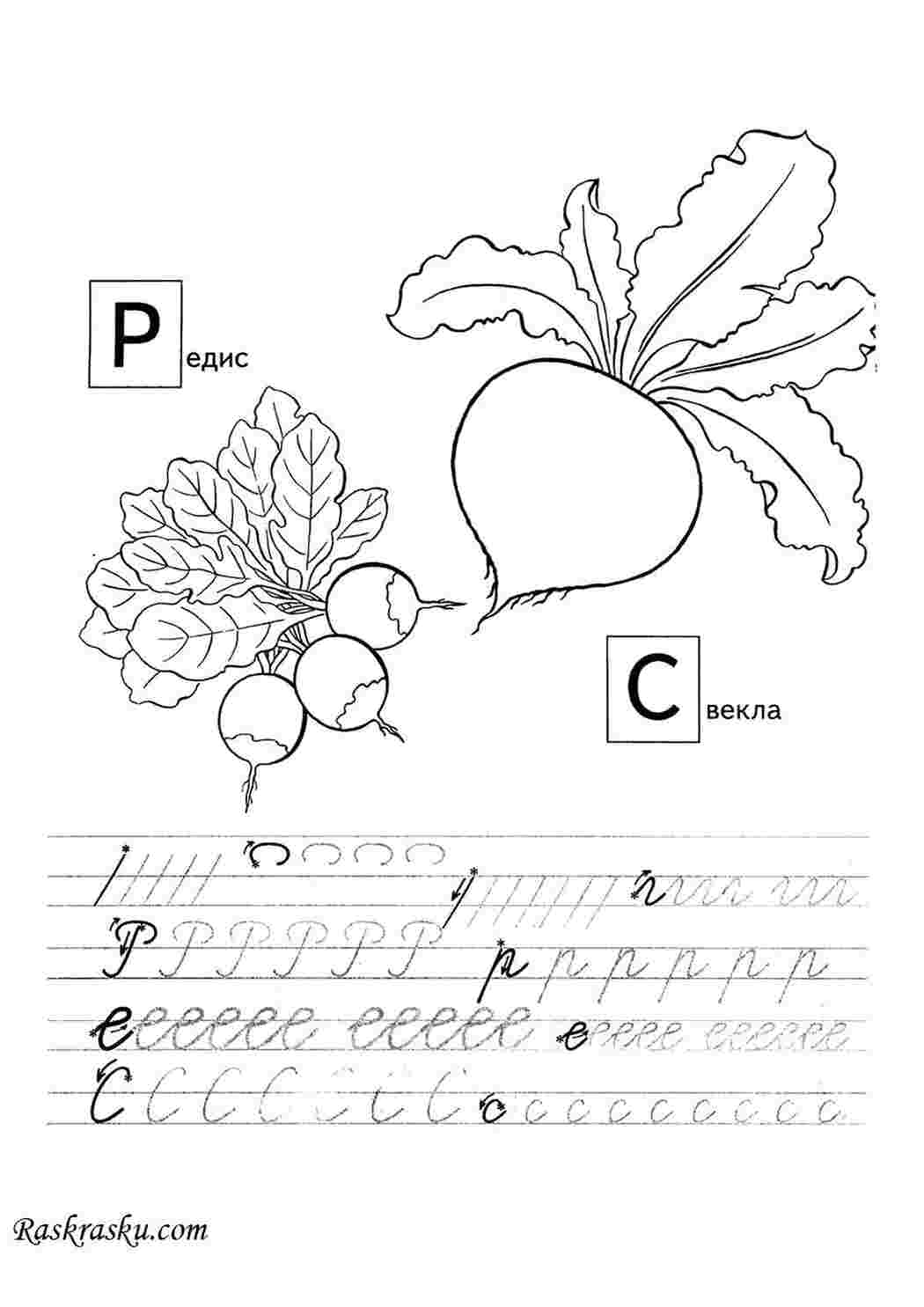 Раскраски Пропись Р и С для детей пропись пропись