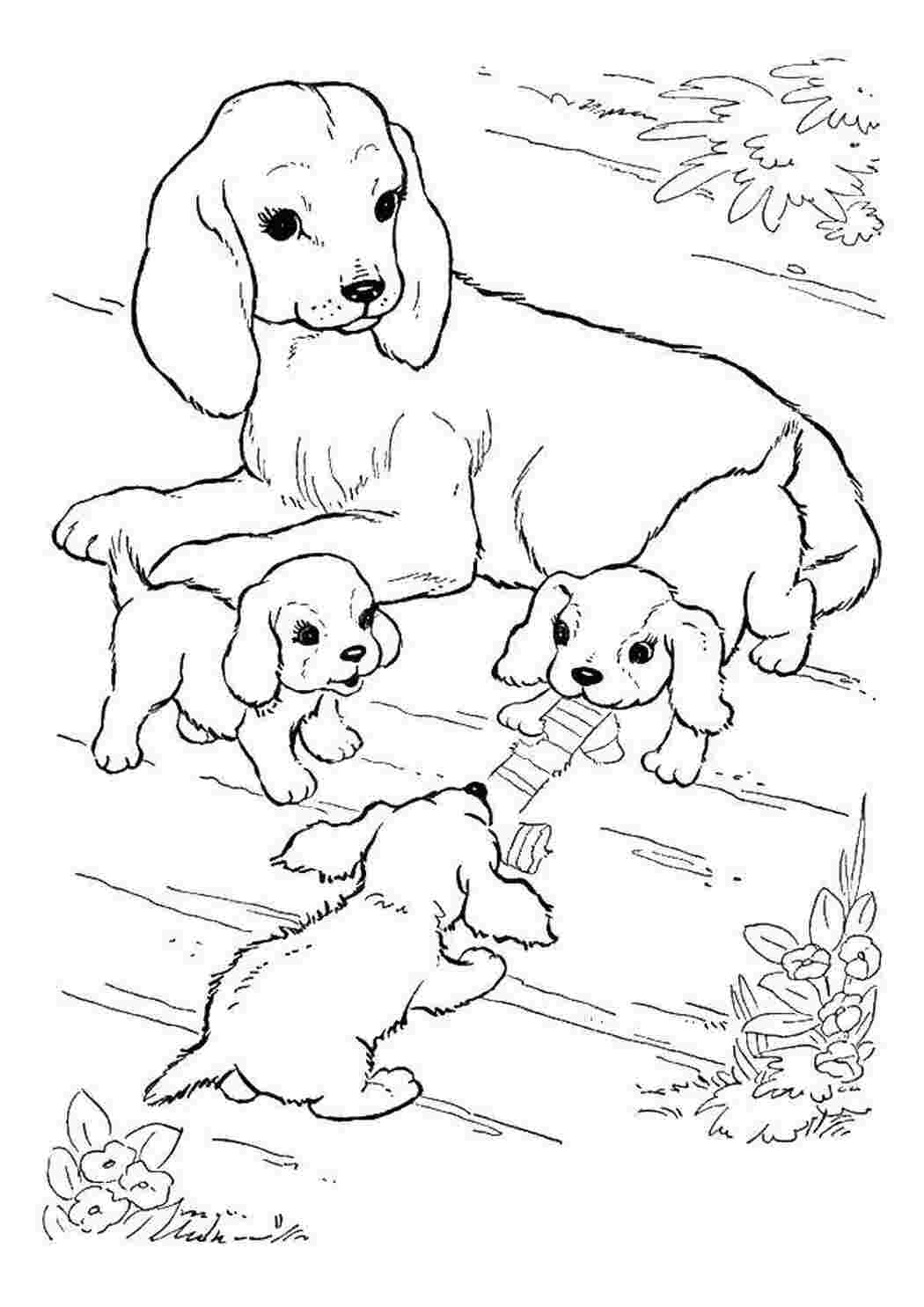 Раскраски Собака с щенками собаки щенки собака, щенки