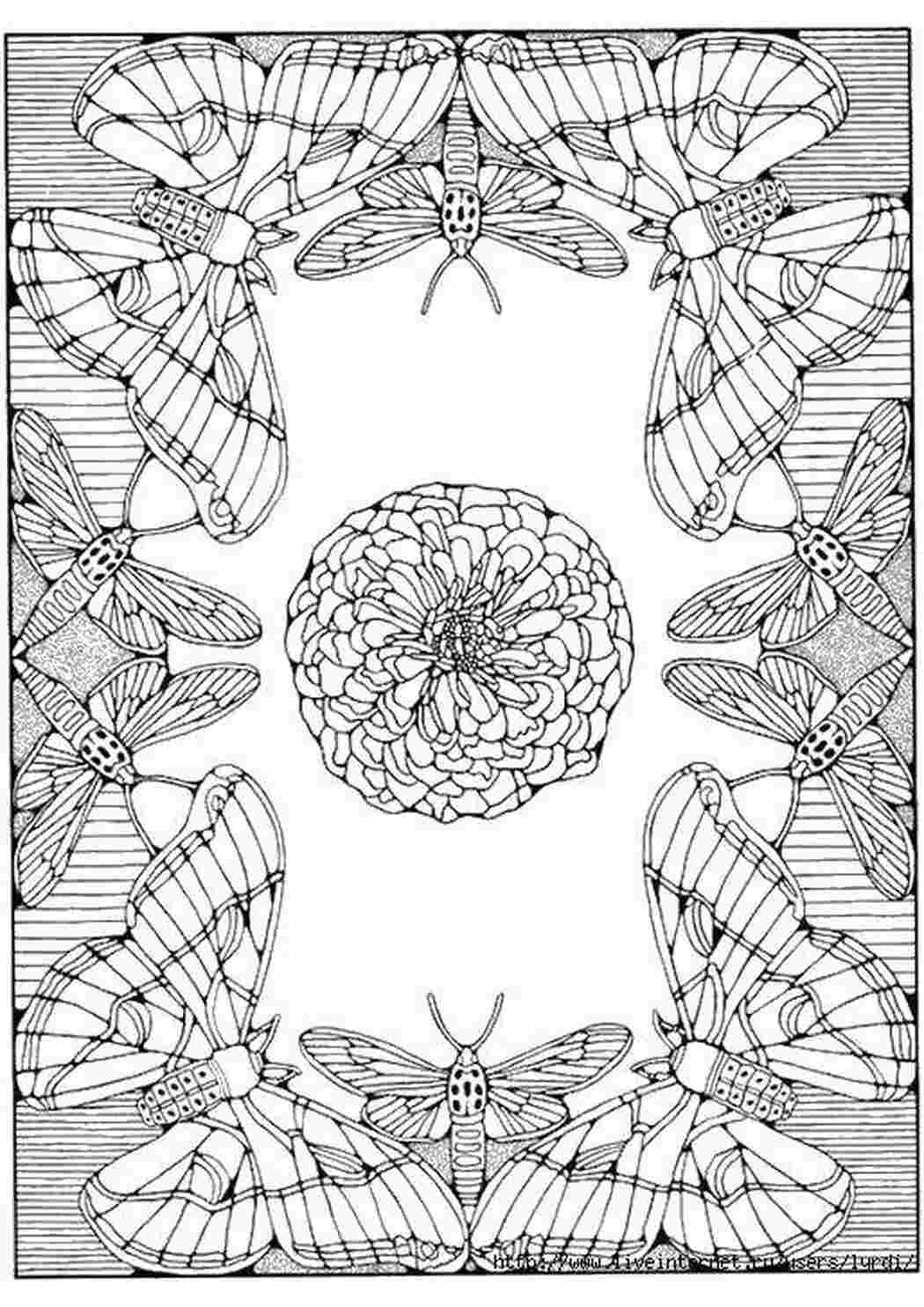 Раскраски Бабочки и стрекозы вокруг цветка Насекомые Бабочка, стрекоза, цветок