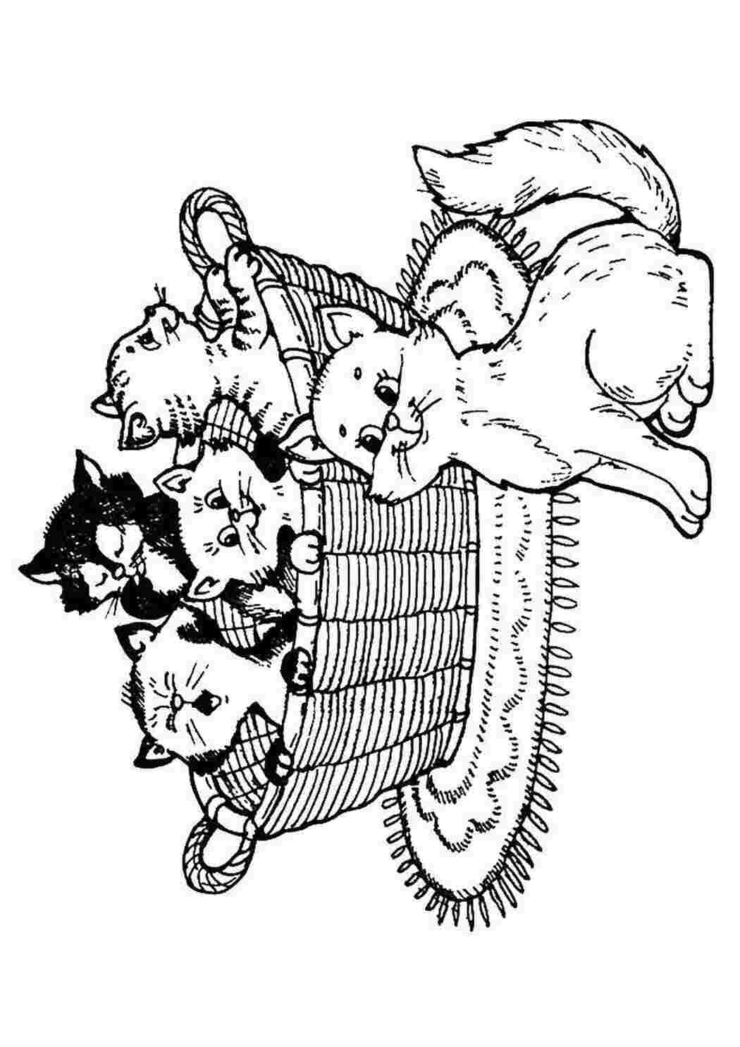 Раскраски Котята в корзине котята и щенки кошка, котята