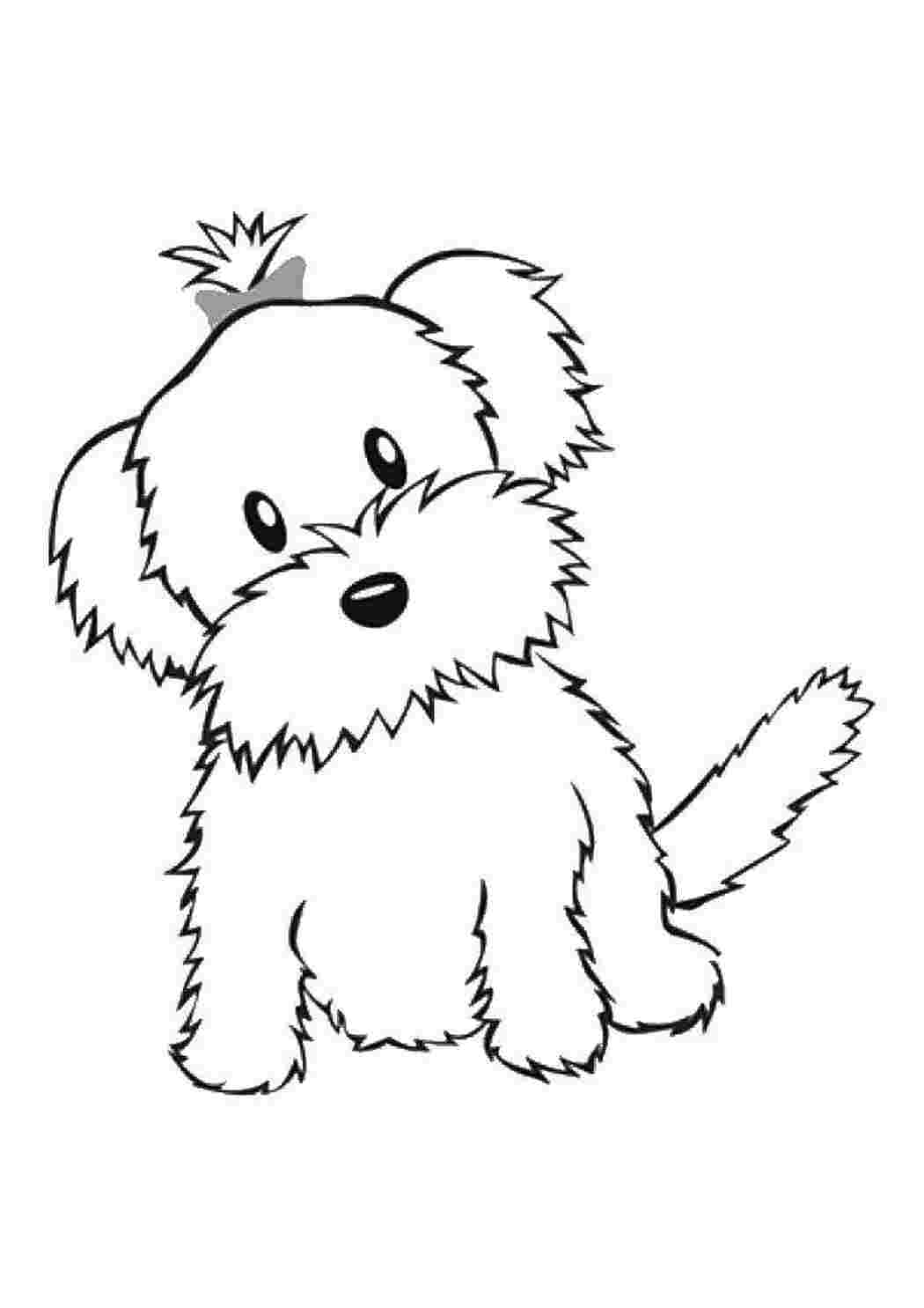Раскраски Собачка с хвостиком домашние животные животные, собака, щенок, пес