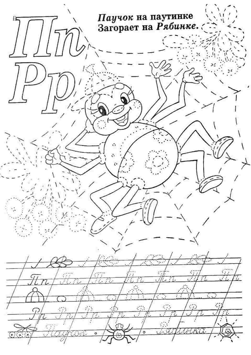 Раскраски Паук на паутине Прописи пропись