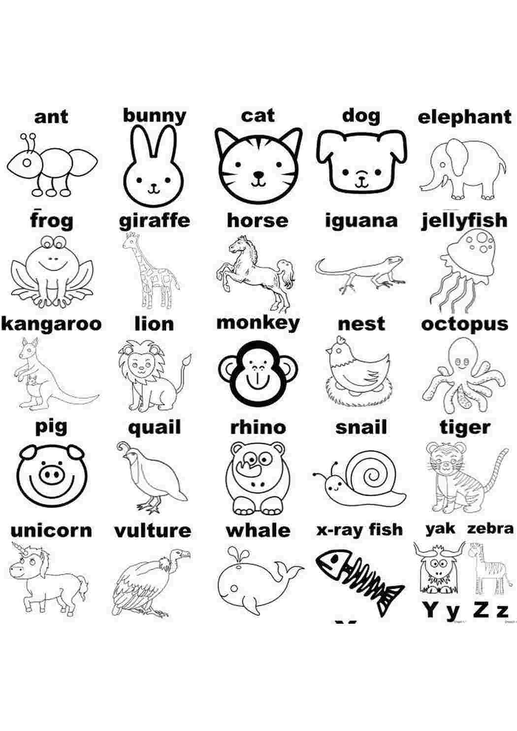 Раскраски Животные на английском Английский Алфавит, буквы, слова